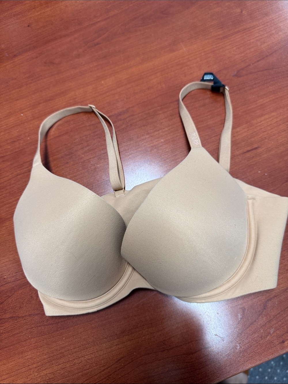 Aerie smoothez plunge bra 34c // 082805
